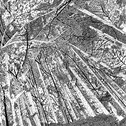 Various Artists - Displaced Soundtracks