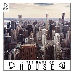 Various Artists - In the Name of House, Vol. 2