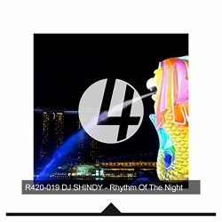 DJ Shindy - Rhythm Of The Night