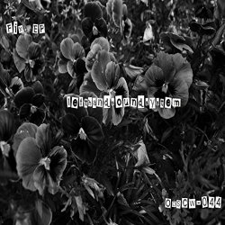 Lefthandsoundsystem - Fix EP
