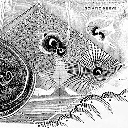 Sciatic Nerve - Sciatic Nerve