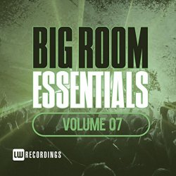 Various Artists - Big Room Essentials, Vol. 07 [Explicit]