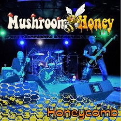 Mushroom Honey - Honeycomb