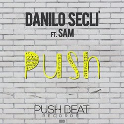 Danilo Secli Feat  Sam - Push (feat. Sam)