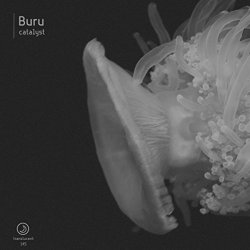 Buru - Catalyst