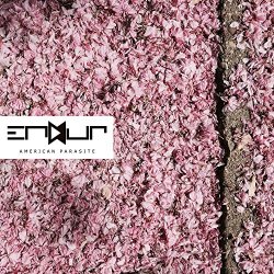 ENDUR - American Parasite