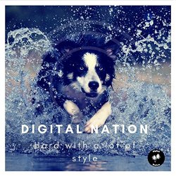 Digital Nation - Hard with a Lot of Style