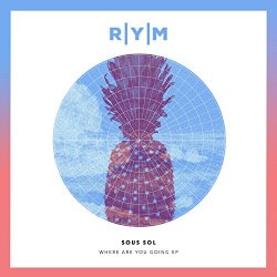 Sous Sol - Where Are You Going EP