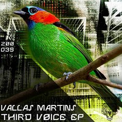 Vallas Martins - Third Voice Ep