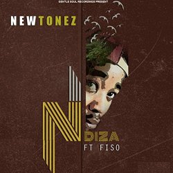 NewTonez feat. Fiso - Ndiza