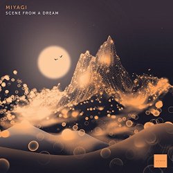 Miyagi - Scene from a Dream