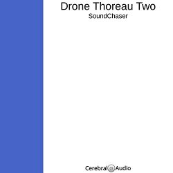 Drone Thoreau Two