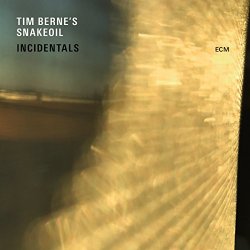 Tim Bernes Snakeoil - Incidentals