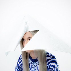   - Poppy.Computer
