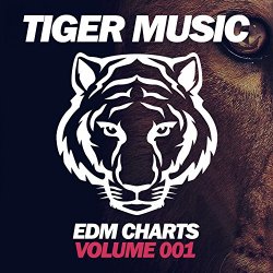 001. Dj - EDM Charts (Volume 001)