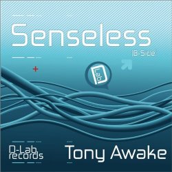 DJ - Senseless (DJ Smiler Remix)