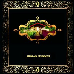   - Indian Runner