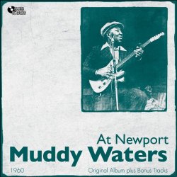 Muddy Waters At Newport