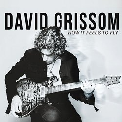 David Grissom - How It Feels to Fly [Explicit]