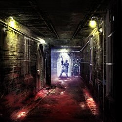   - Shadow Man Asylum Beyond the Black Door