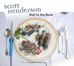 Scott Henderson - Well to the Bone