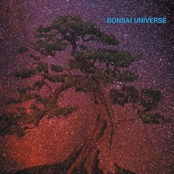 Bonsai Universe - Moonstream