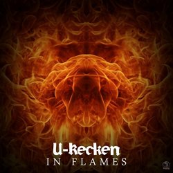 U-Recken - In Flames (Original Mix)