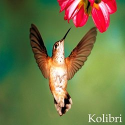 Korzh - Kolibri (Dub Mix)