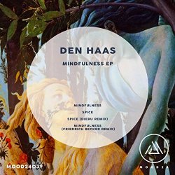 Den Haas - Mindfulness EP