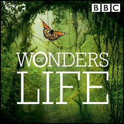 David Schweitzer - Wonders of Life (Original Television Soundtrack)