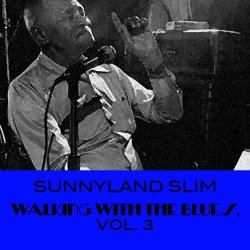 Sunnyland Slim - (Low Down) Sunnyland Train