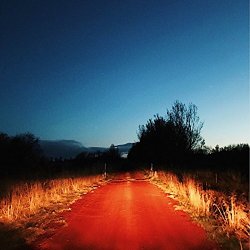   - The Road Dissolved the View