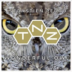 Sebastien Pedro - Wonderful Owl (Original Mix)
