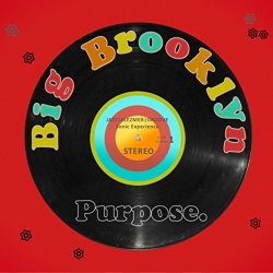 Big Brooklyn - Purpose