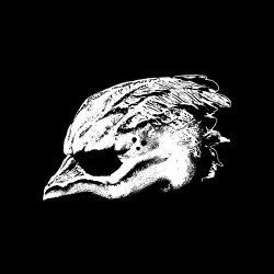 Legend of the Seagullmen - Legend Of The Seagullmen [Explicit]