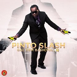 Pinto Slash - Gal Dem Bash, Vol 1 [Explicit]