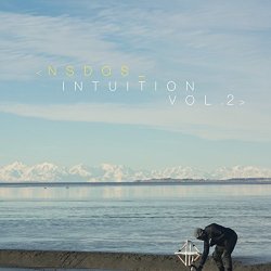 NSDOS - Intuition, Vol.2