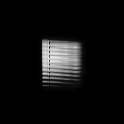 12-cadeu - Echoic XII
