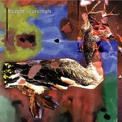 Taught By Animals - Taught By Animals 2