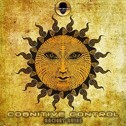 Cognitive Control - Ancient Ruins