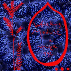 Weirding Module - A Newer Age