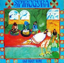 Spirogyra - Old Boot Wine [Import allemand]