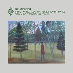 Tor Lundvall - Insect Wings, Leaf Matter & Broken Twigs: Early Ambient Recordings (1991-1994)