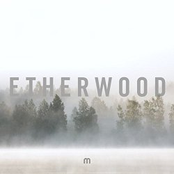 Etherwood - In Stillness [Import allemand]