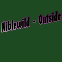 Niblewild - Outside