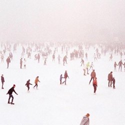 Weekday Wolves - The World's Most Liveable City