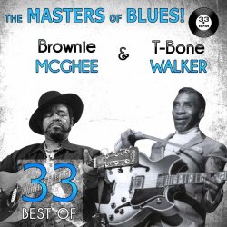 Brownie McGhee - The Masters of Blues!