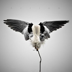 Atrium - Recreate