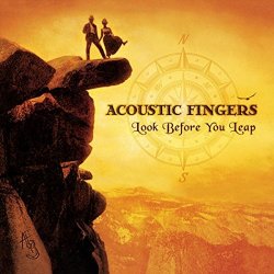 Acoustic Fingers - Look Before You Leap
