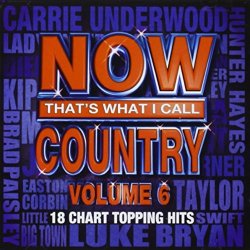 Various - Now That's What I Call Country Vol. 6 By Various (2013-06-11)